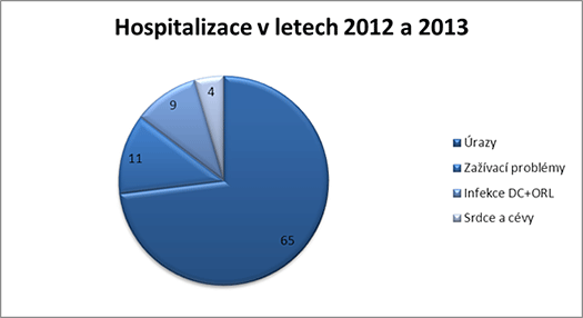 Hospitalizace v letech 2012 a 2013